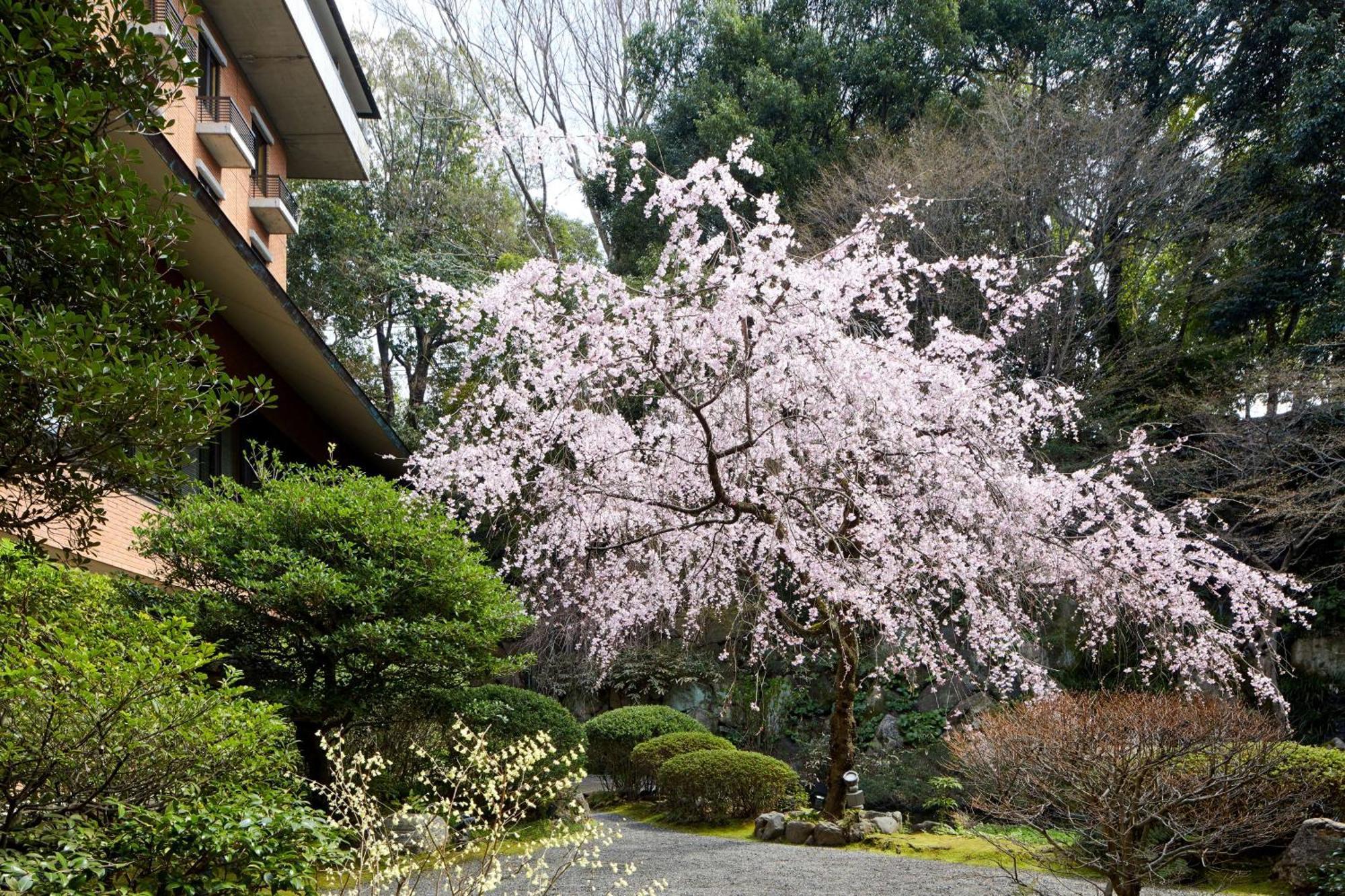 Hyatt Regency Kyoto Hotel Ngoại thất bức ảnh